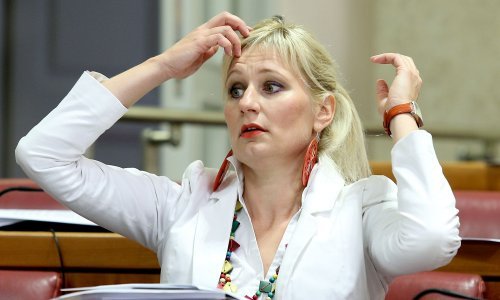 Upoznajte SDP-ovku koja je zbog ignoriranja žena oprala Davora Bernardića
