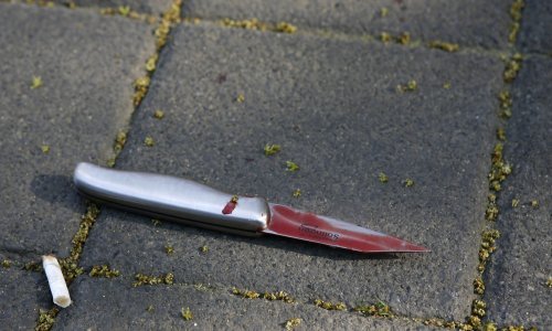 Za ubojstvo starice nožem u leđa policija sumnjiči sina