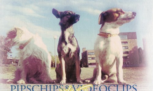 Najbolji album u karijeri grupe PipsChips & Videoclips