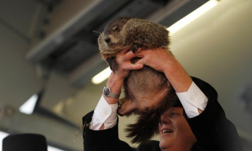 Svizac Phil tvrdi da se zima nastavlja