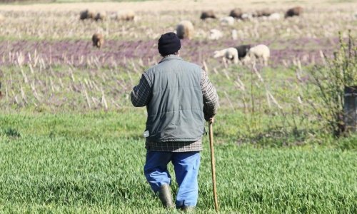 Ličani od pastira napravili roba, iskorištavali ga i tukli