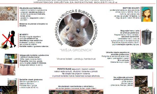 U Zagrebu raste broj oboljelih od mišje groznice