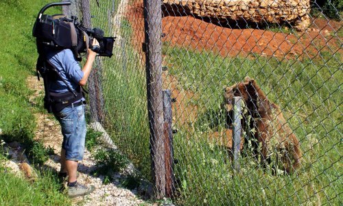 Ekipa BBC-a snima film u Kuterevu