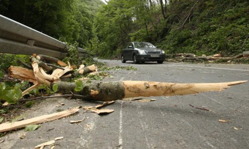 Zbog odrona zatvoreni granični prijelazi iz Slovenije, Sljemenska cesta zakrčena stablima