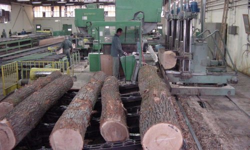 Da je Vlada poslušala oporbu, ne bi bilo afere Spačva?