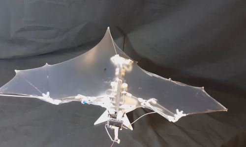 Ako se (ne) plašite šišmiša, što kažete na njihovo robotsko izdanje?