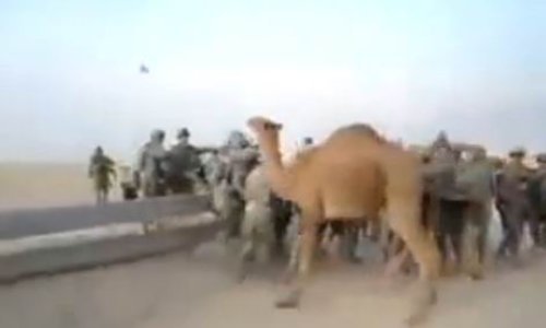 Kako se deva 'osvetila' američkim vojnicima