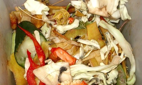 Europska komisija do 2030. planira smanjiti bacanje hrane za polovicu