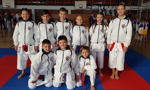 Vukovarski inkubator: Dok je jake djece i dobrih rezultata...