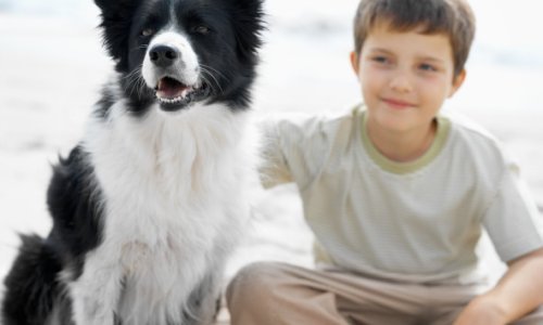 Plastika čini dječake feminiziranima