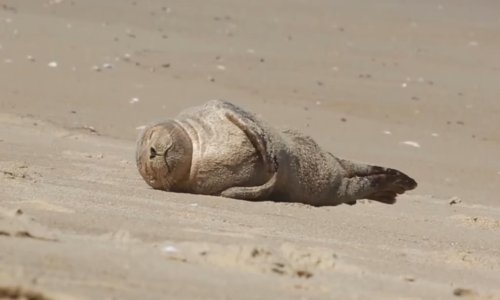 Vikend je tu – prođite brzi tečaj izležavanja