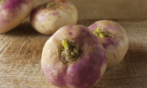 Nekad je bila hrana za siromašne, a sad je svi traže