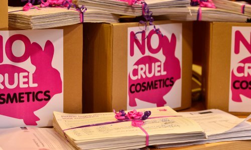 Apel Europskoj uniji protiv kozmetičkih pokusa na životinjama