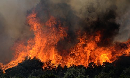Šumski požar zapadno od Atene, gase ga vatrogasci, pet aviona i dva helikoptera