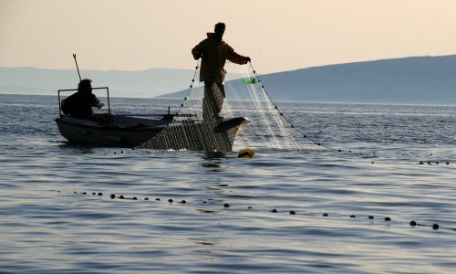 Mali ribari javite se za dozvole, ima ih samo 3.500