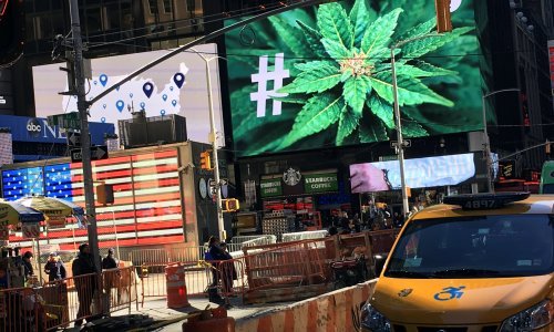 Amerikanci danas legaliziraju travu, stavljaju kondome u porniće...