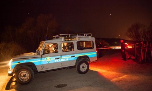 Palio korov pa zapalio 40 ha šume na Mljetu