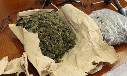 Dvojica dilera 'pala' s kilogramom marihuane