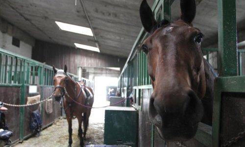 'Nema opasnosti za posjetitelje koncerta'