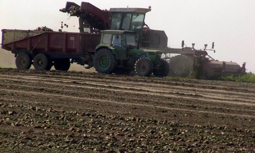 Hrvatske šećerane tuguju za srpskom repom