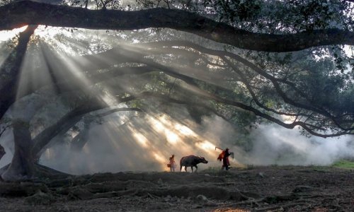 Pogledajte fantastične fotografije snimljene samo iPhoneom