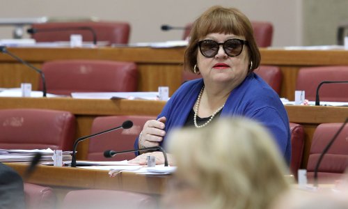 Anka Mrak Taritaš pojavila se u sabornici sa sunčanim naočalama