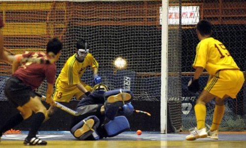 Zelina druga na sedmerce