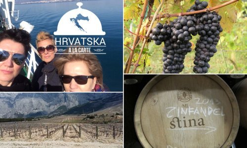 Gledali su ih kao čudakinje, a danas Dalmaciju pretvaraju u vinsku Kaliforniju