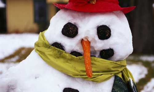 Žena nazvala policiju zbog krađe snjegovića