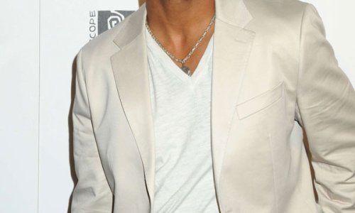 Steve Urkel nokautirao silikonske grudi  bivše supruge