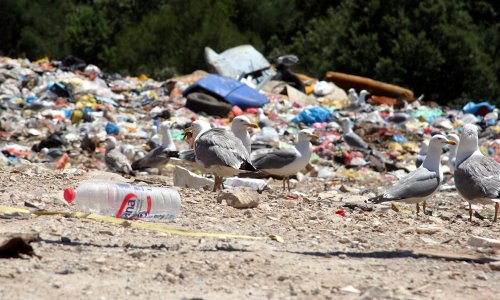 Ipak produljenje: Splitska okolica će do 21. kolovoza moći bacati smeće na Karepovac