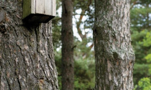 Bookerov žiri posadio 13 stabala u ekološkoj akciji