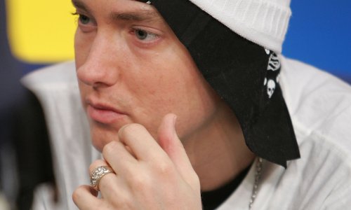 Politička stranka pokrala Eminema