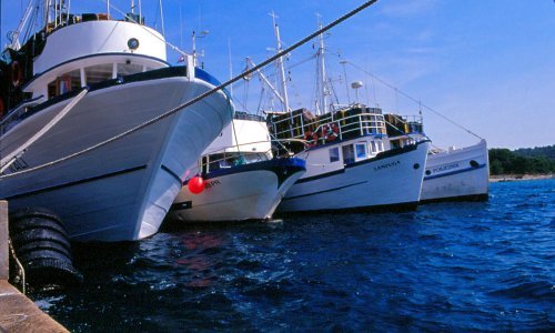 Za dogradnju luka u Crikvenici, Selcu i Jadranovu 60 milijuna kuna