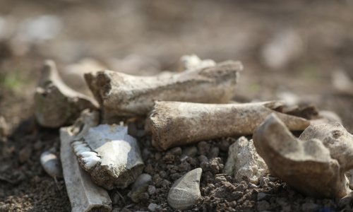 U Gračanima pronađena masovna grobnica iz Drugog svjetskog rata?