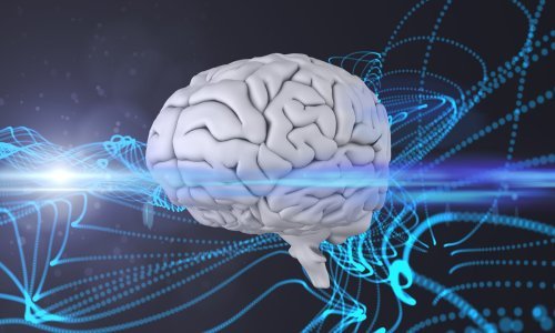 Bogati poduzetnik ima plan za spajanje računala i mozga, no zna li uopće što čini?
