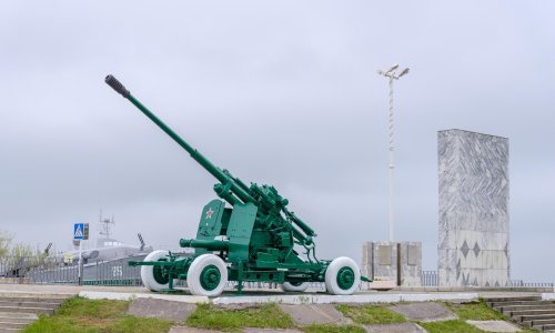 U arsenalu zaplijenjenom u Španjolskoj i protuzračni topovi