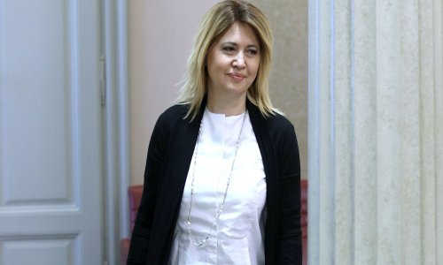 Opačić: Oporba podržava povećanje porodiljnih naknada; Mrsić: Očekivali smo više