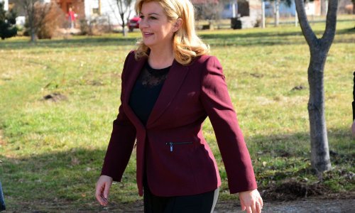 'Zajednički jezik bio je politički projekt koji je umro zajedno s bivšom Jugoslavijom'