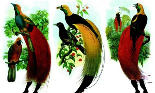 Najbolje od domaće i inozemne kazališne produkcije za djecu