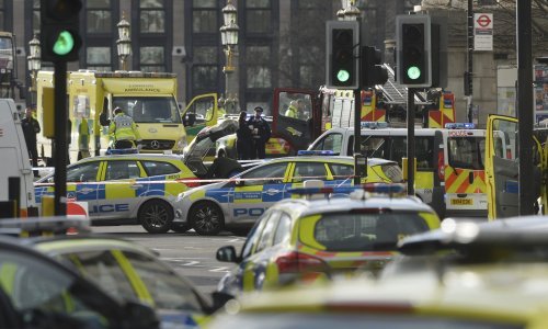 Britanija je strahovala od 'vuka samotnjaka'