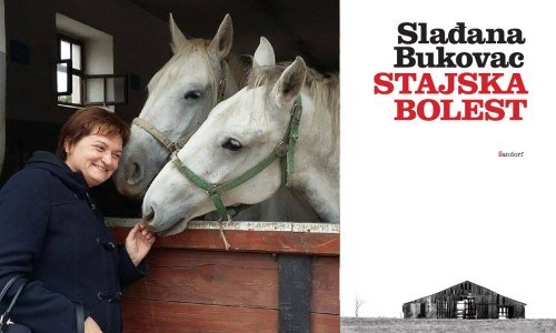 'Stajska bolest': Traženje izlaza iz boksa stvarnosti