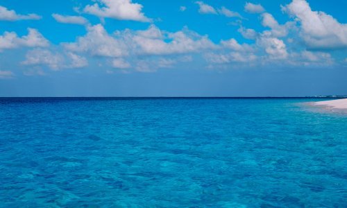 Spašen nakon što je morem plutao 56 dana