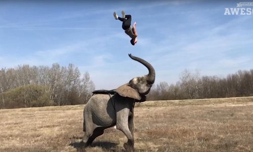 Ovako nešto sigurno još niste vidjeli