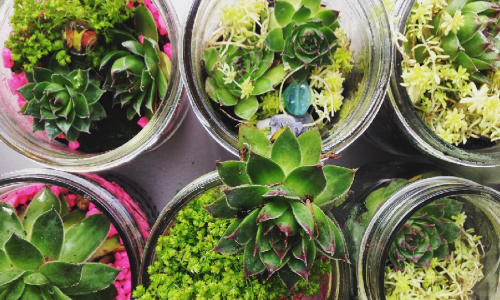 Chic način na koji možete iskoristiti stare staklenke