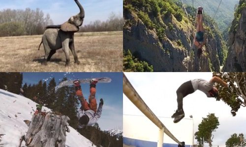 [VIDEO] Nevjerojatno je to što ljudi sve mogu ili misle da mogu