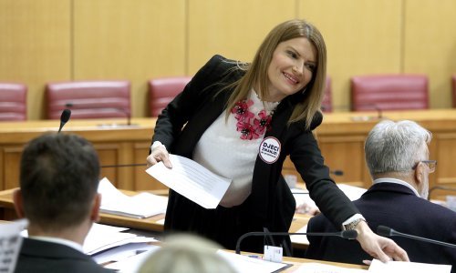 Glasovac: Netko je pod okriljem noći masakrirao Strategiju obrazovanja