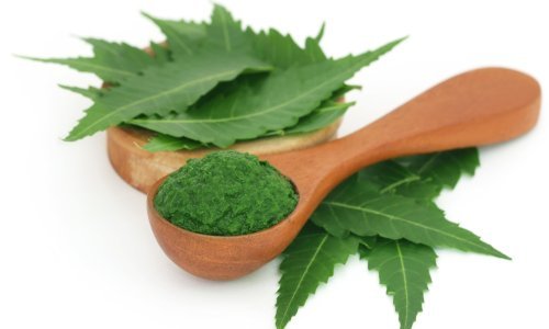 Čarobni nim: Moćan saveznik koji liječi i njeguje