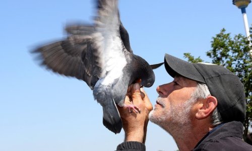 Osječaninu golubovi jedu iz ruku i s usana
