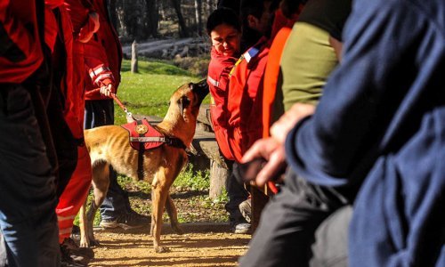Zajednička vježba hrvatskog i srpskog GSS-a
